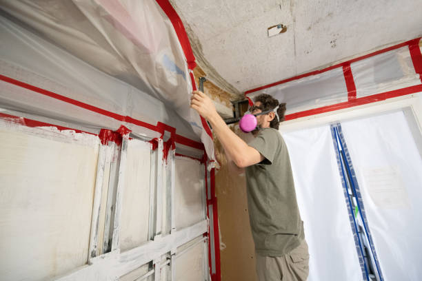 Best Commercial Mold Inspection  in Pawcatuck, CT