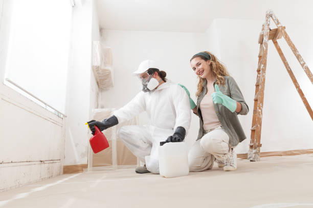 Best Mold Remediation for Healthcare Facilities  in Pawcatuck, CT