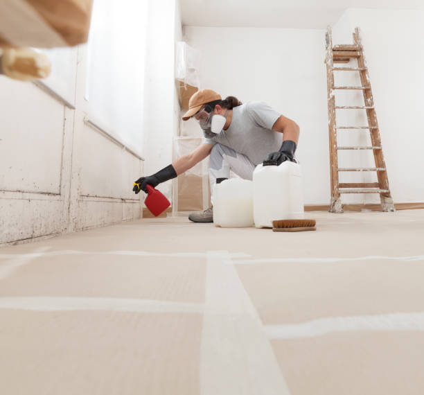 Trusted Pawcatuck, CT Mold Removal Experts